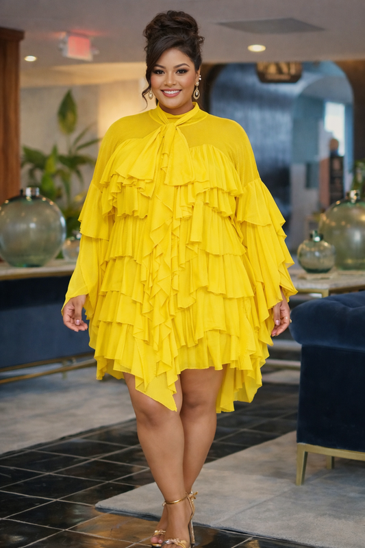 Puddins Favorite  Plus size Blouse /Dress